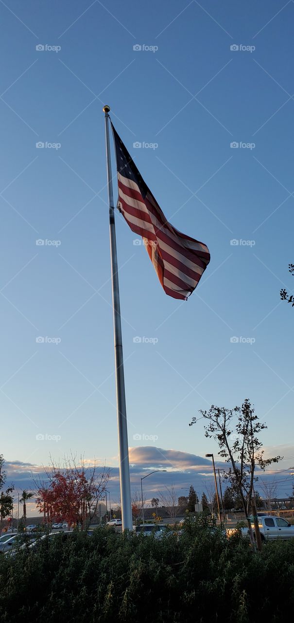 U.S. flag