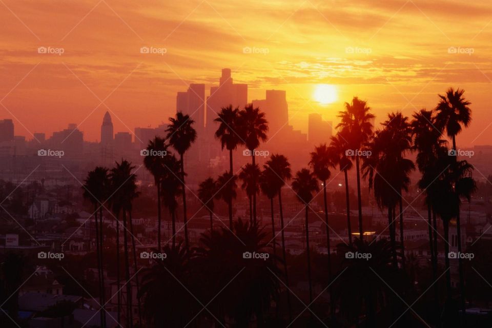 Travel in Los Angeles