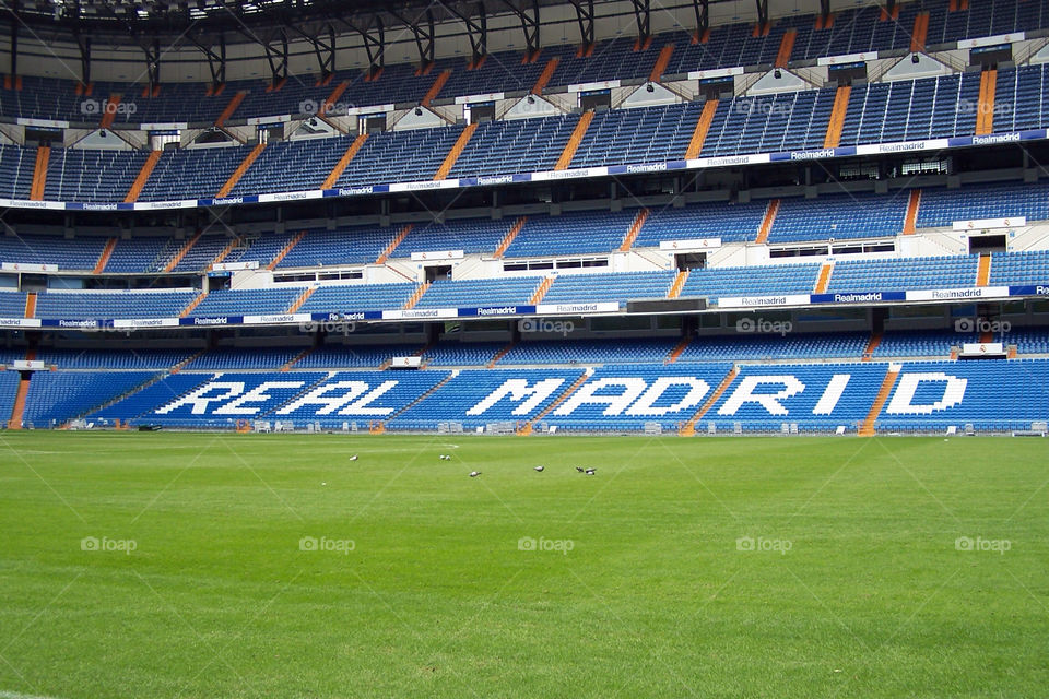 green blue grass empty by pesc