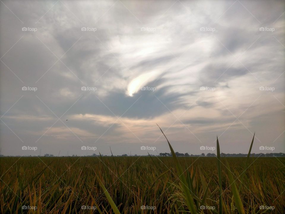 The sun is covered by clouds