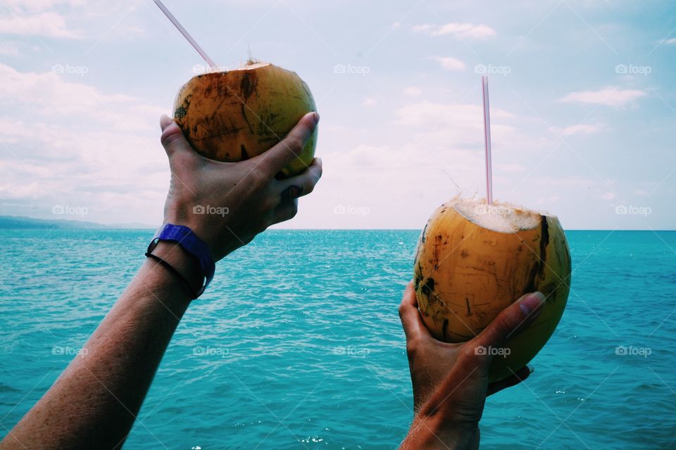 Coconuts & the ocean 