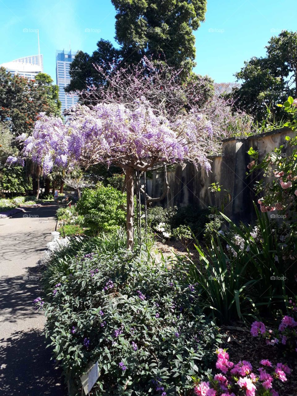 Beautiful park Australia 🇦🇺
