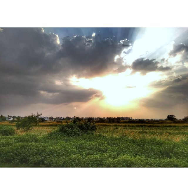 sun