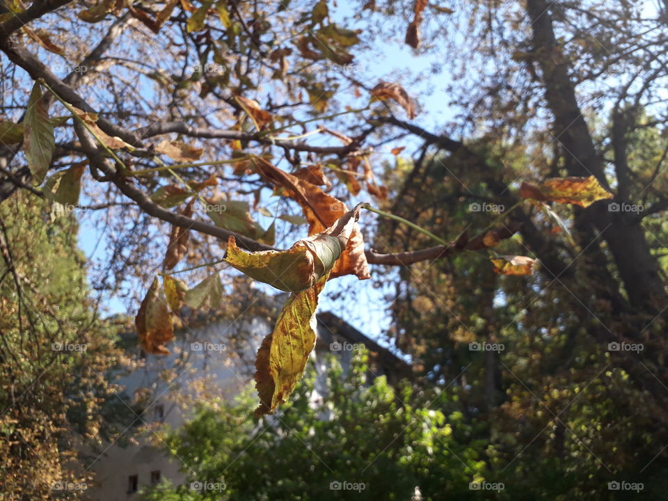 autumn is coming🍂