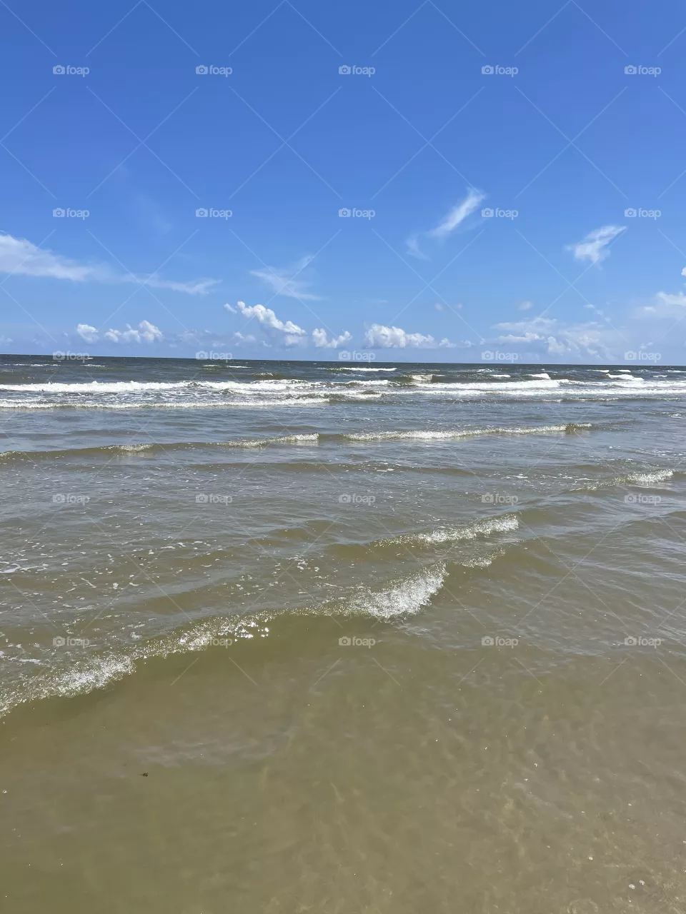 Galveston Waves 