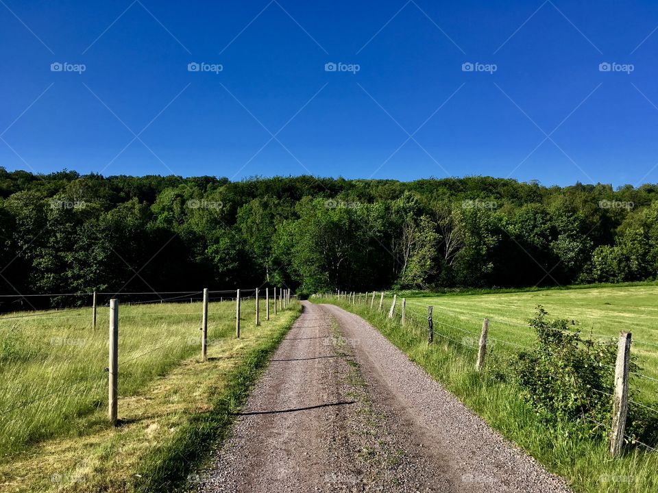 Landscape walking path.