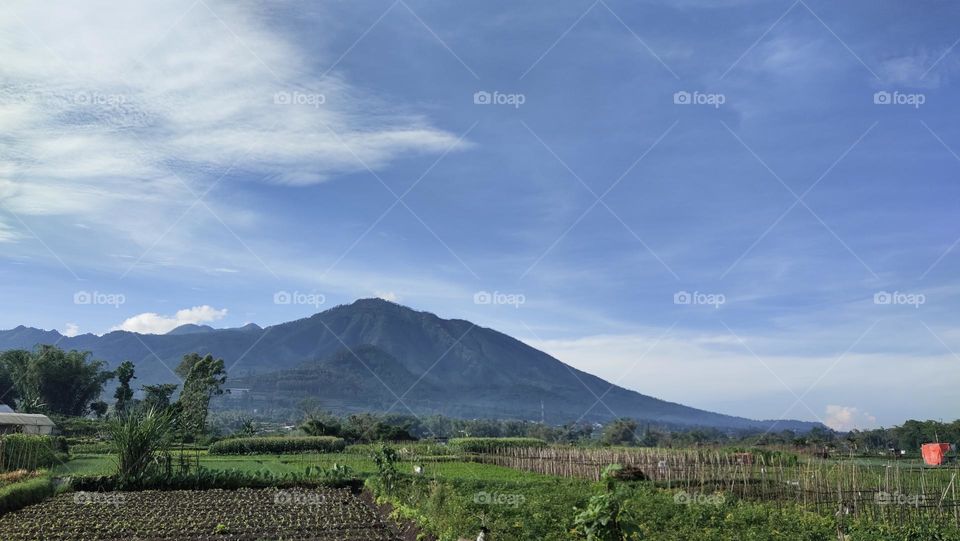 area gunung Pujon
