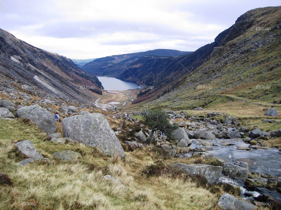 Wicklow