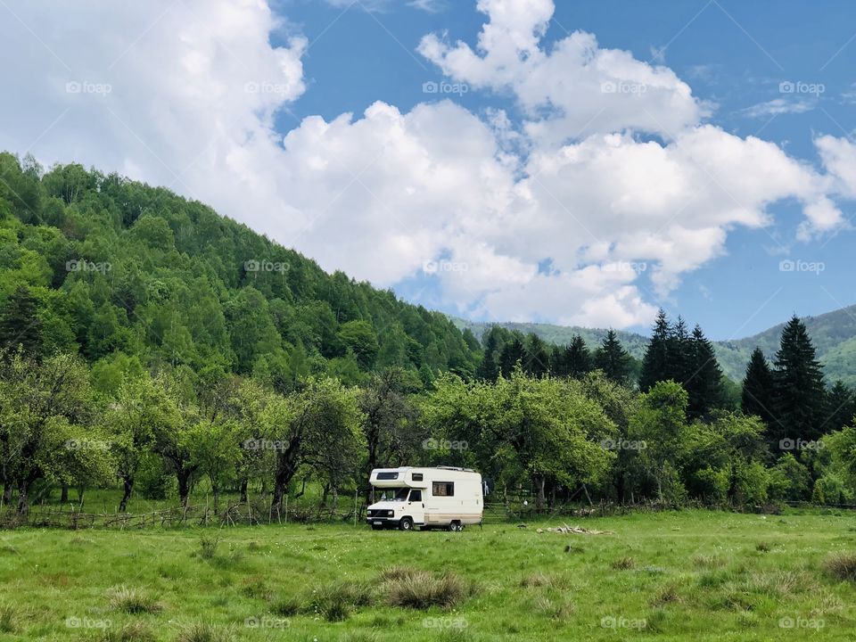 Green scenery