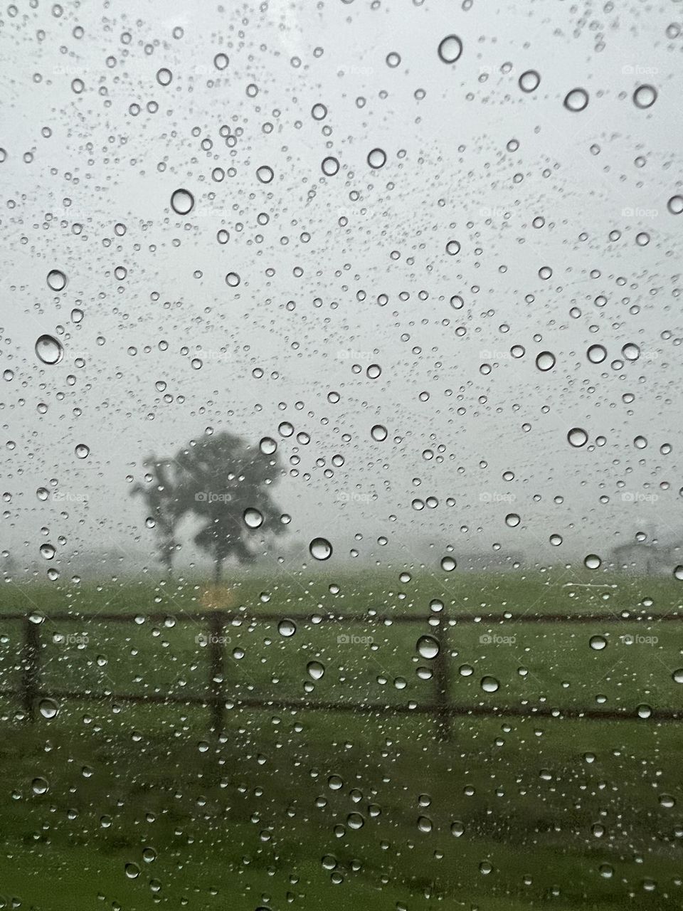 Looking out the window on a rainy day 
