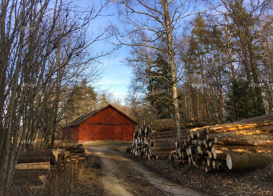 A beautiful spring day