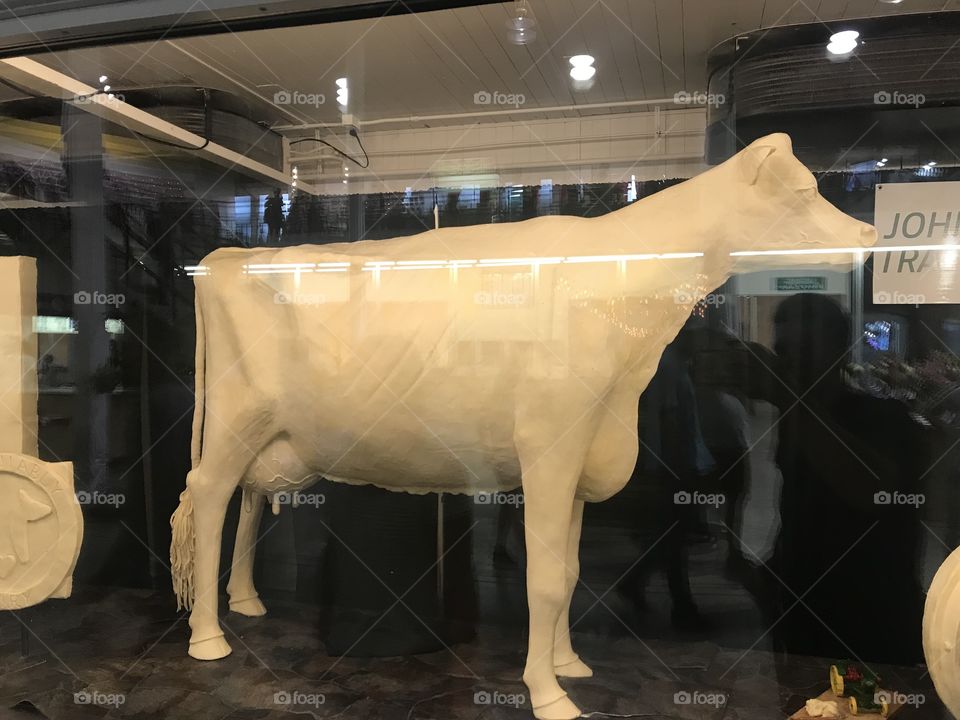 Butter cow 