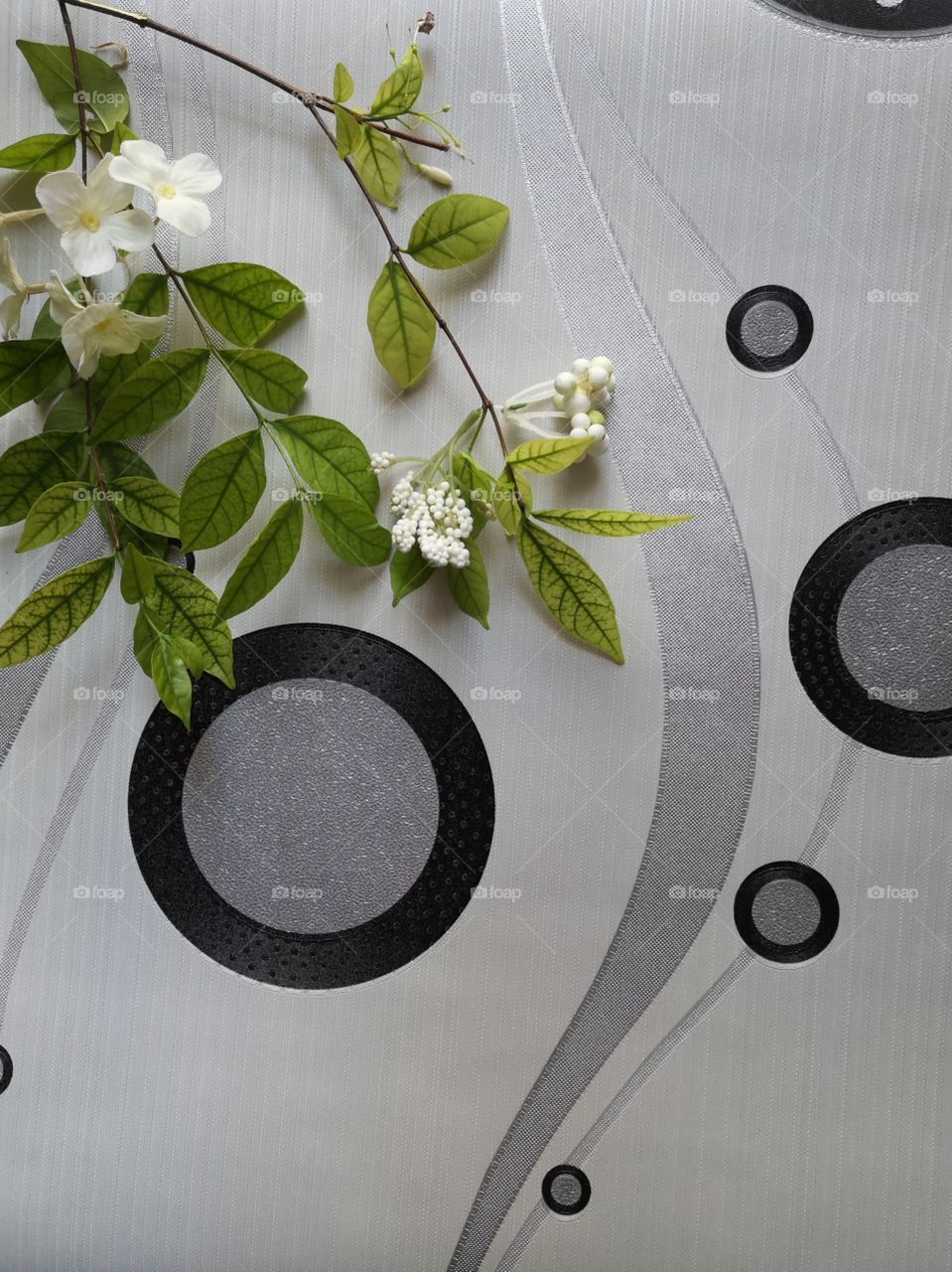 The varieties background.