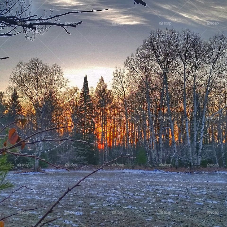 wooded winter sunrise