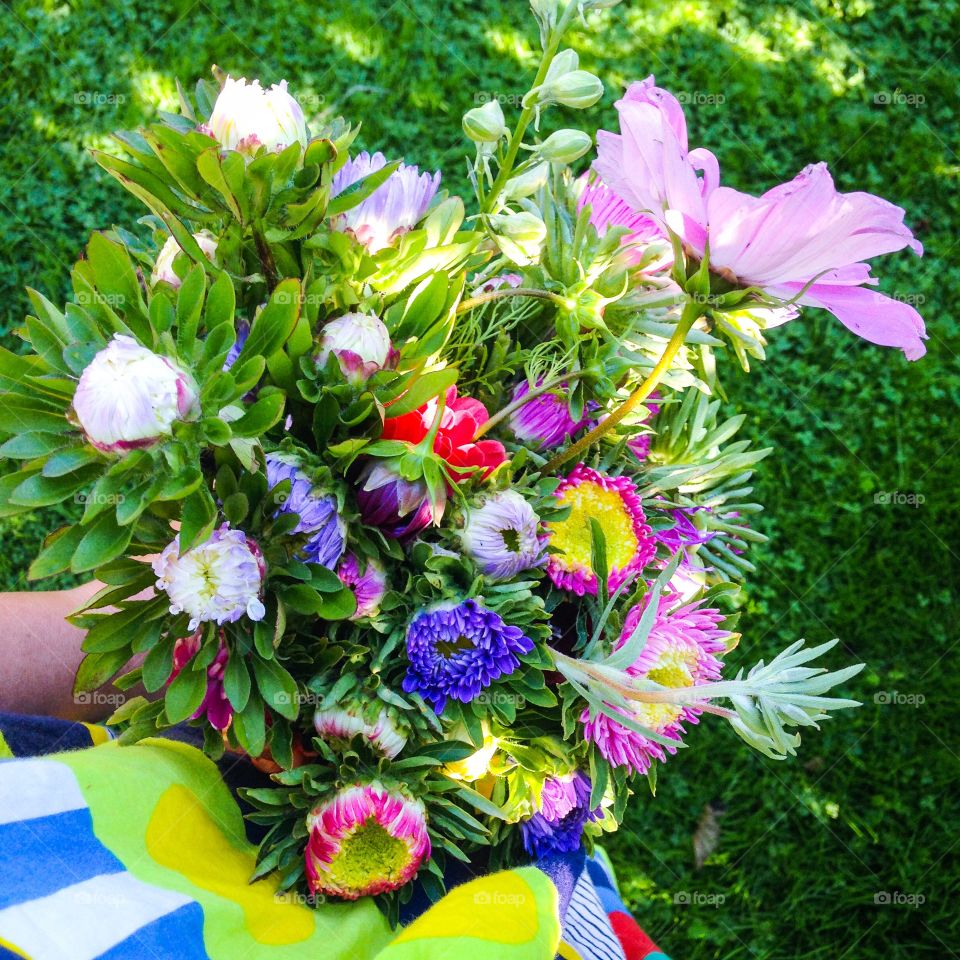 flower picking