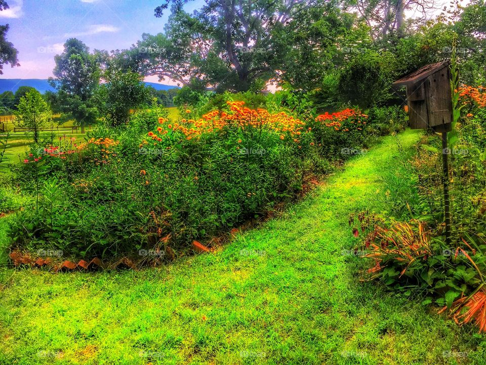 Mountain range beyond the farm. A great view of the mountain range from a farm garden 