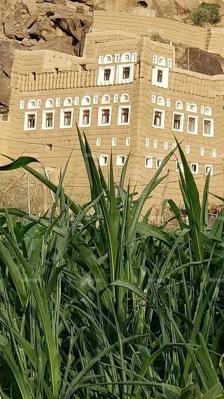 Glory be to God, the magnificent and picturesque view and the natural green trees are a view that is nothing more wonderful than it