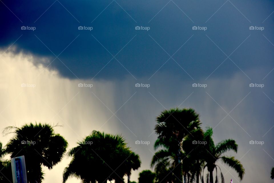 The movement of rain 