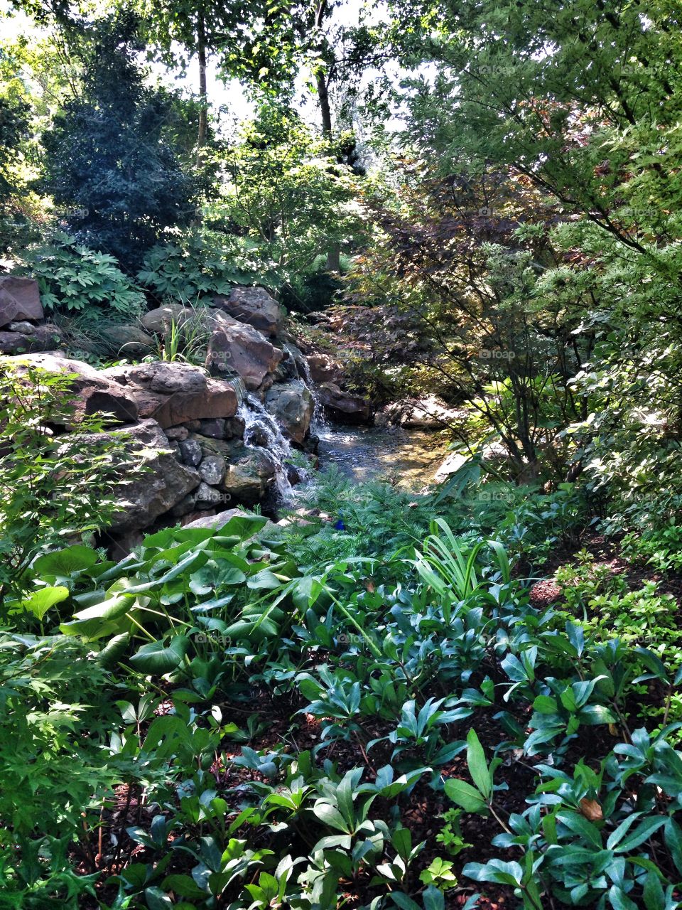 The falls. Waterfall at a nature park