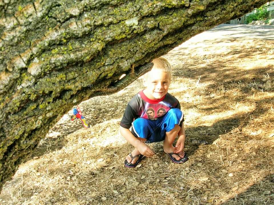 boy watching lizard on a tree