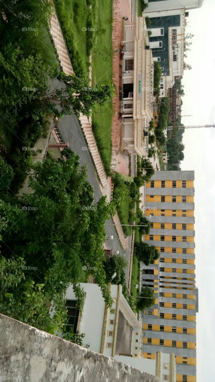 beautiful green city