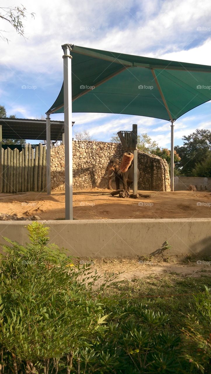 No Person, Outdoors, Nature, Grass, Travel