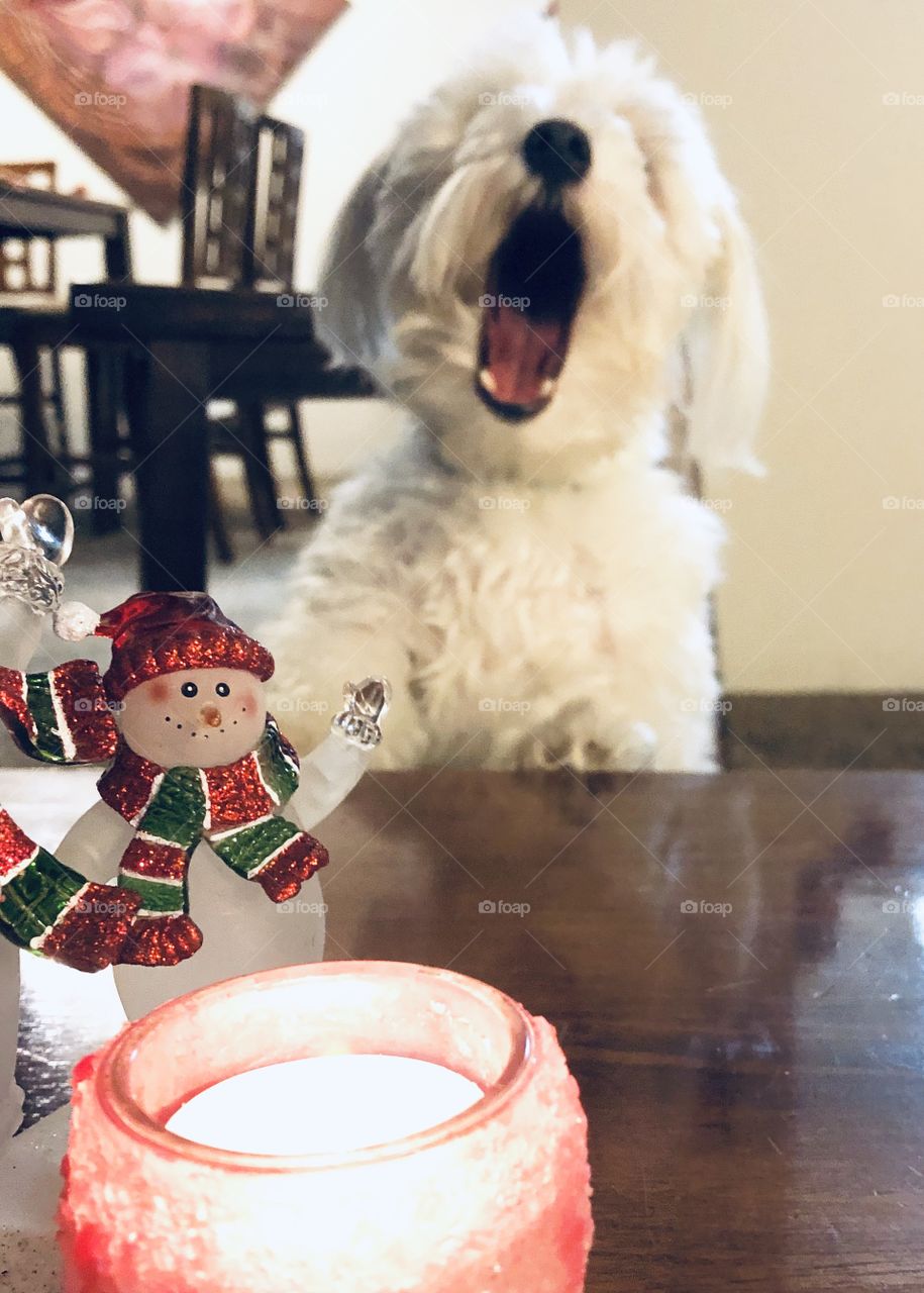 Christmas is coming!!!