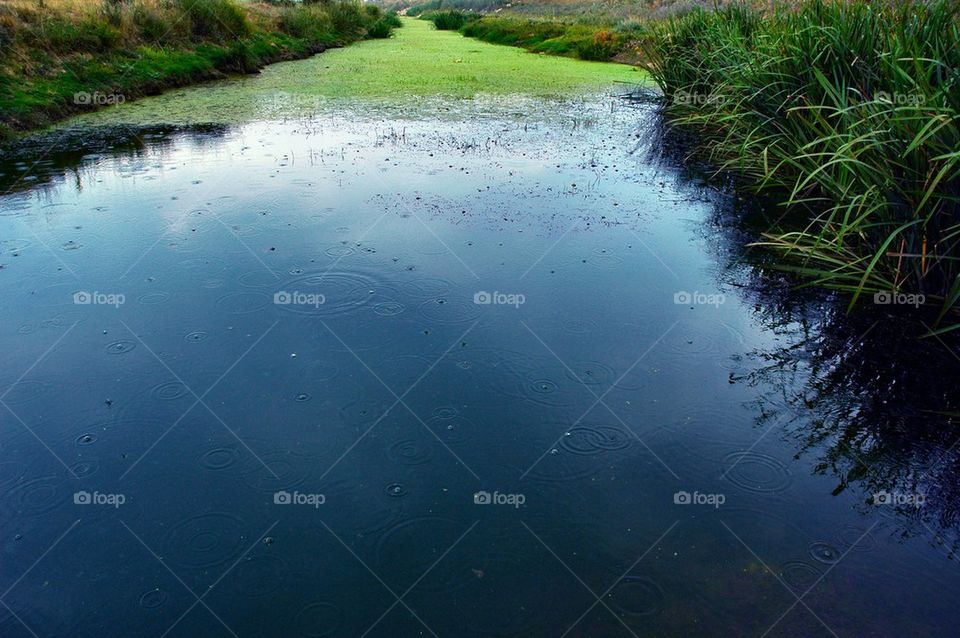 Green river under rain