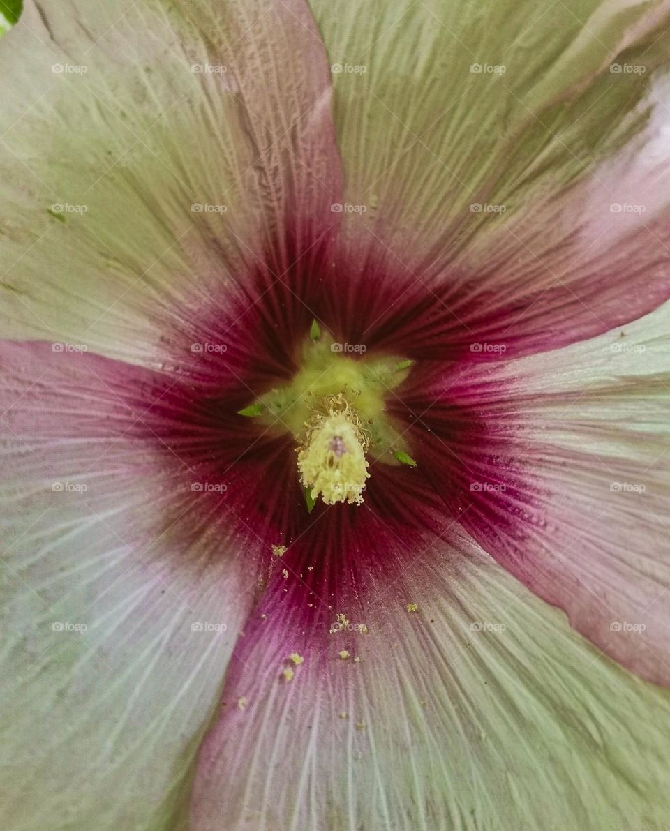 Nature's love affair with sensuality