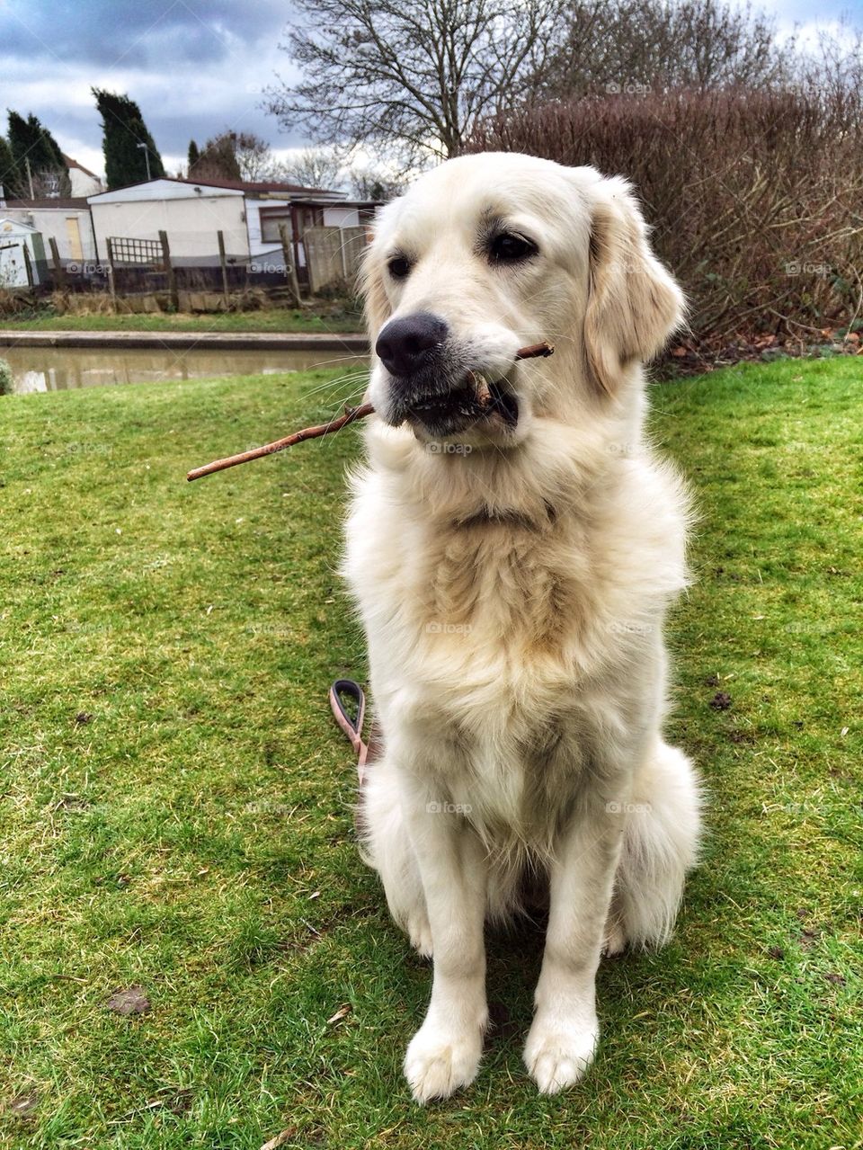 Zoe posing very proud of herself with her stick