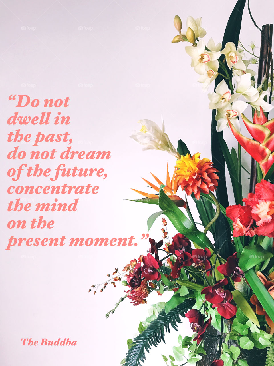 Philosophical quotes 