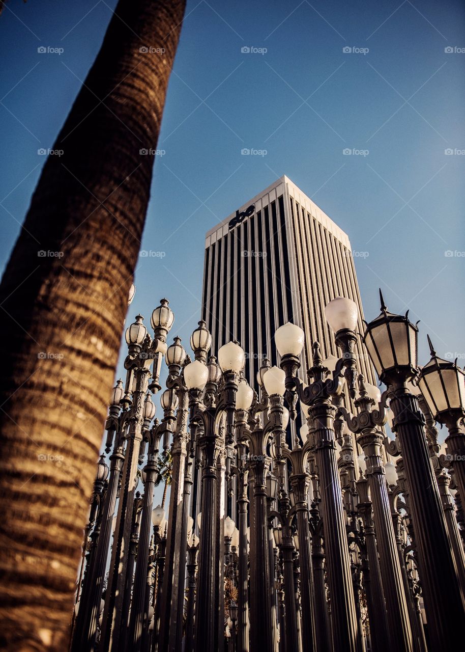 LACMA lights.