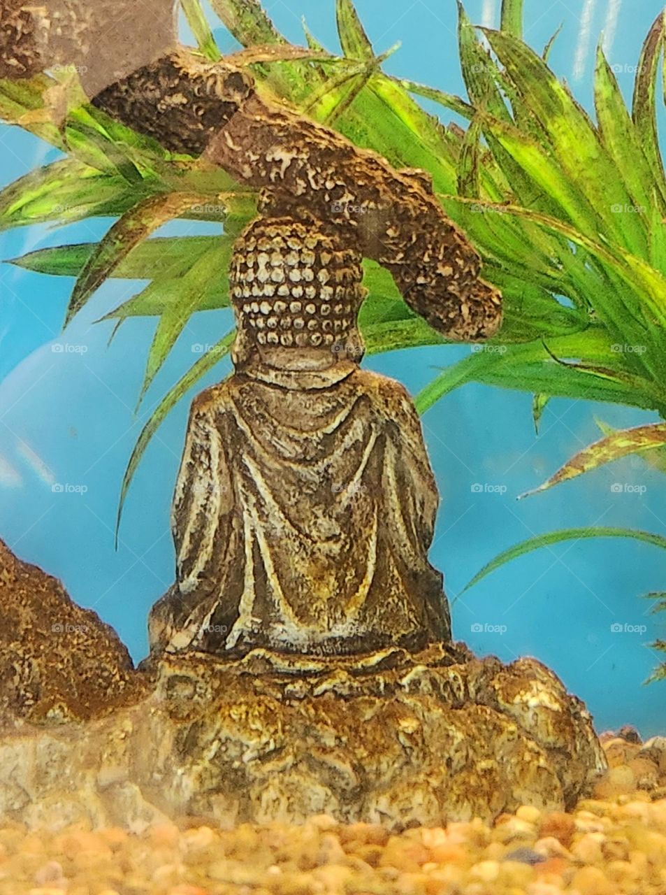 meditating Buddha figure sitting underwater at the bottom of a pet store fish tank