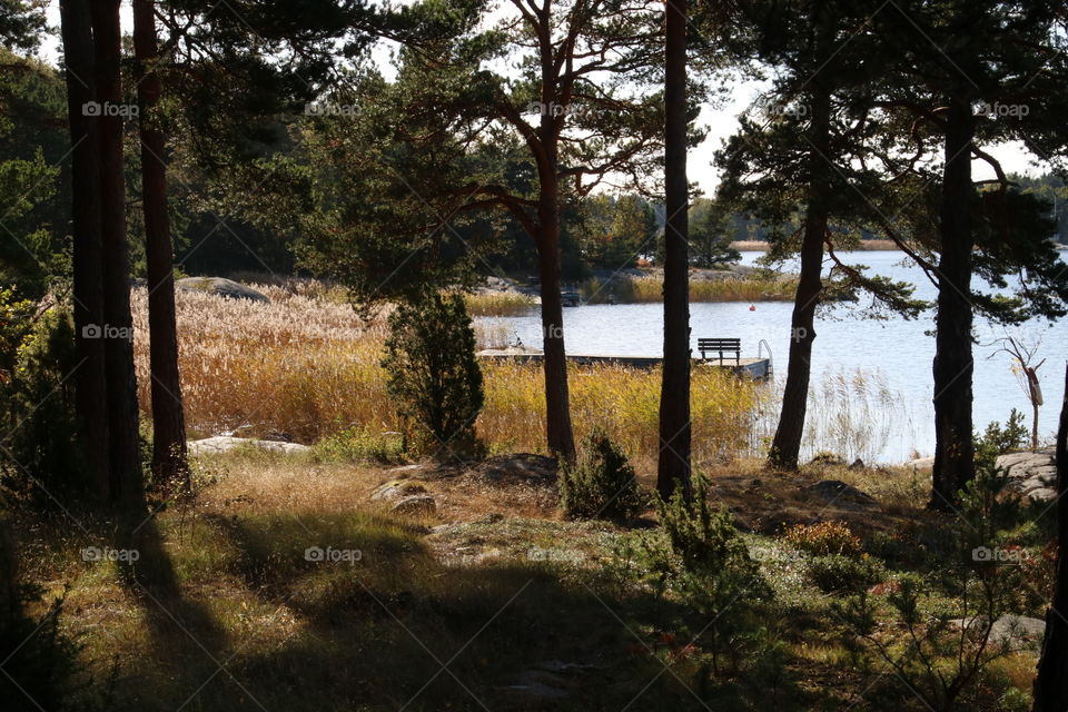 Underbar höstvy i Stockholms skärgård  | awesome  autumn view in Stockholm Archipelago