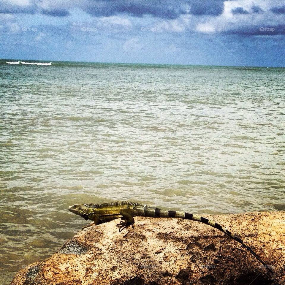 Water, Sea, Beach, Seashore, Ocean