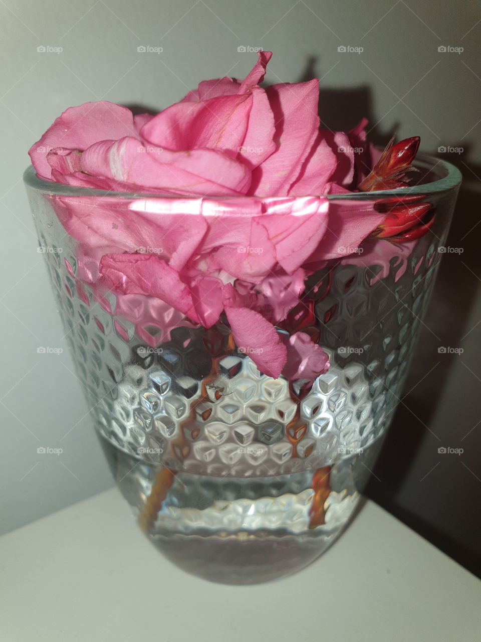 Rose in the glass.