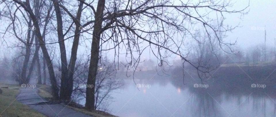 Ann Arbor Misty Mornings