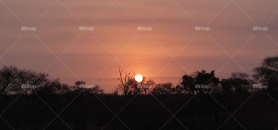 Sunset in Krueger Park, at South Africa