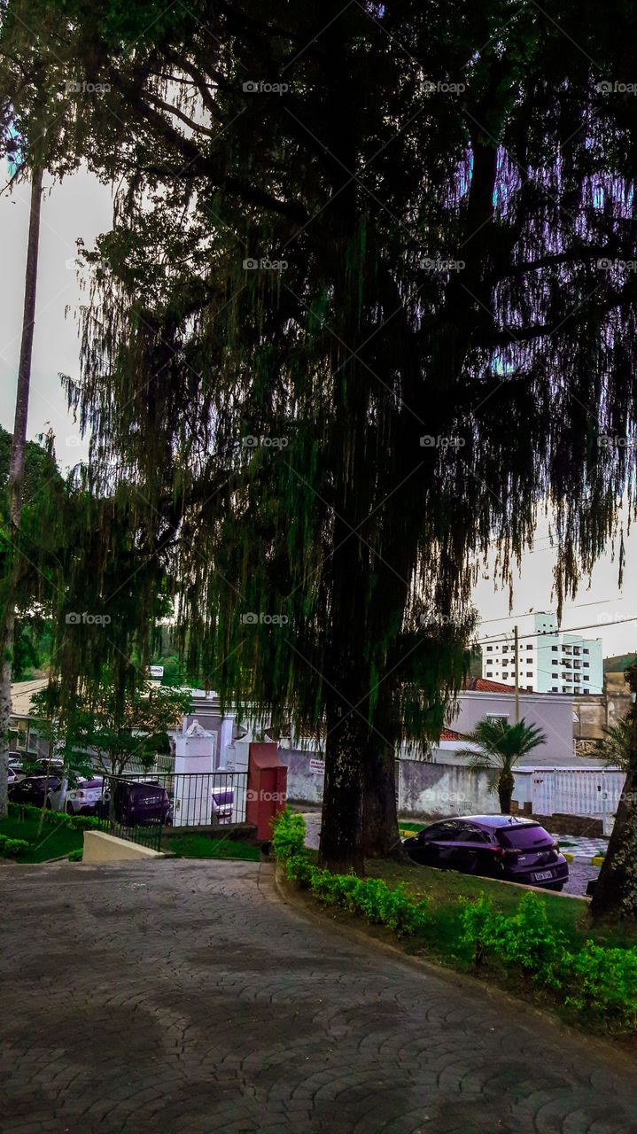 Jd. público Amparo SP - Brasil