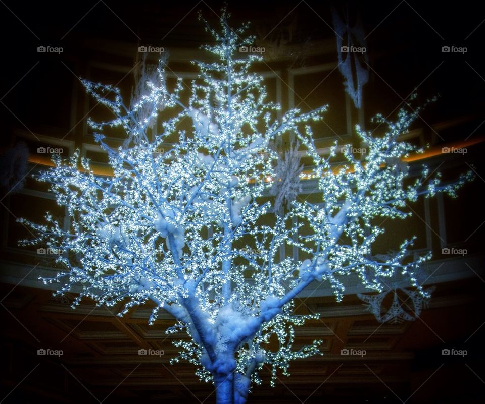 snow lights christmas tree festive by jeanello