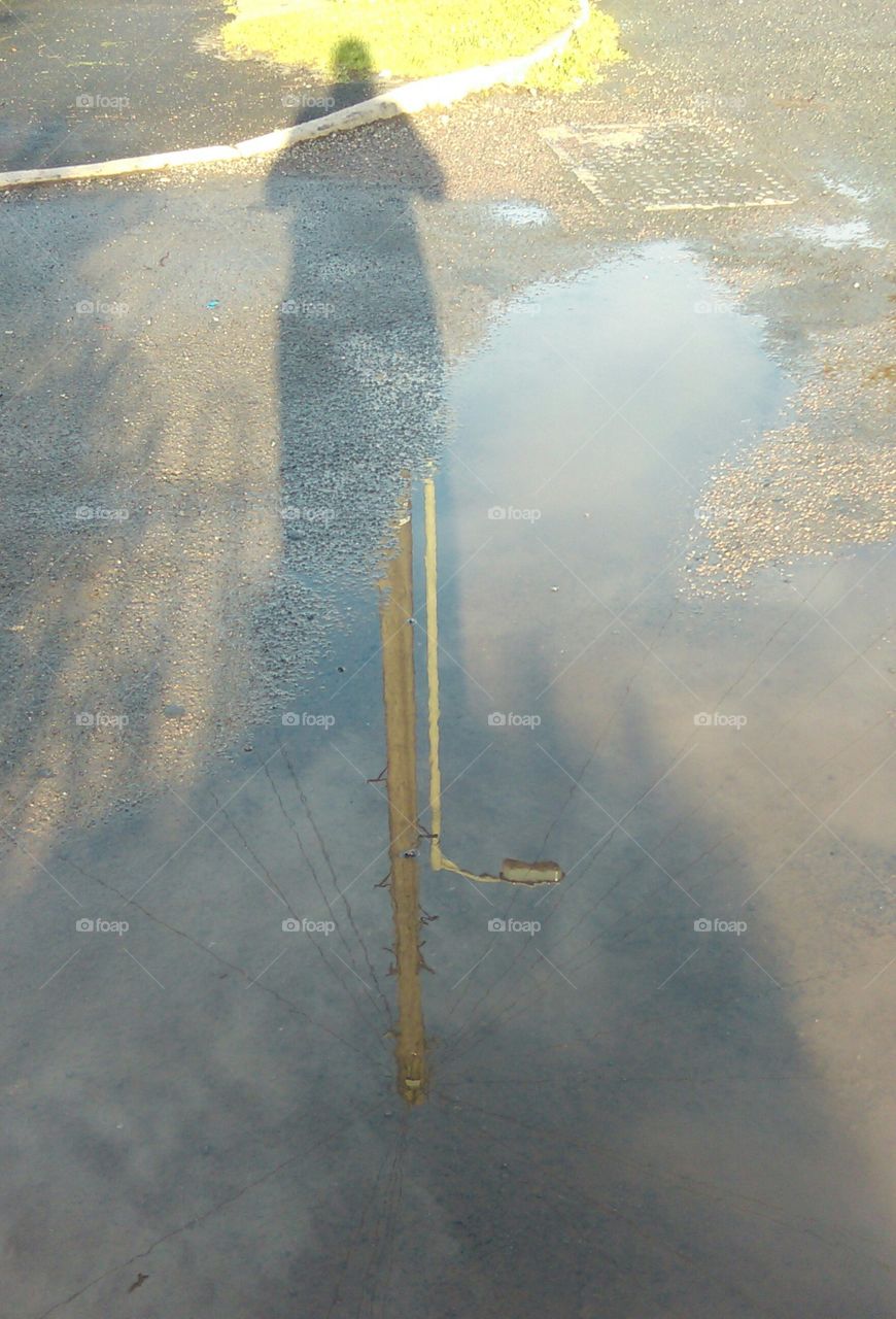 shadow in a puddle