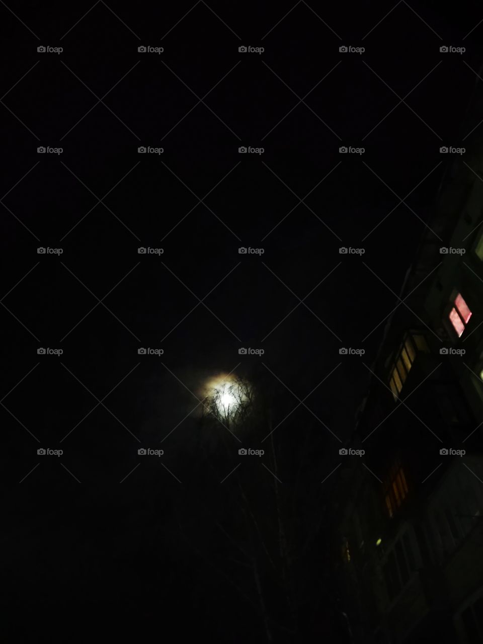 Darkness outside. Street. Moon