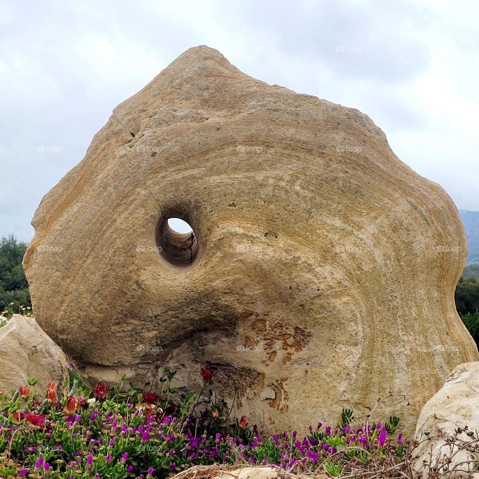 Unique Stone. Natures Artwork.
