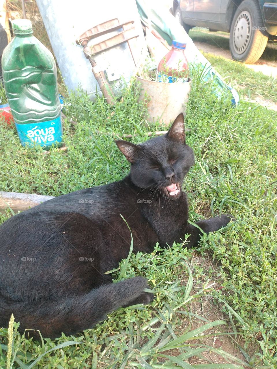 Editors' Choice - Photo of the Week!