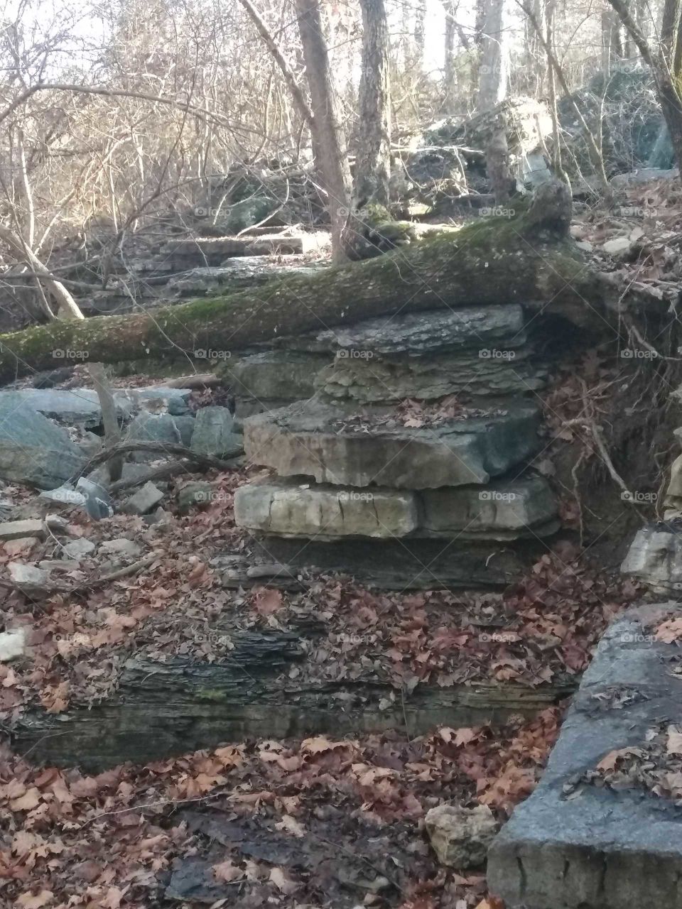 Nature walk in Arkansas