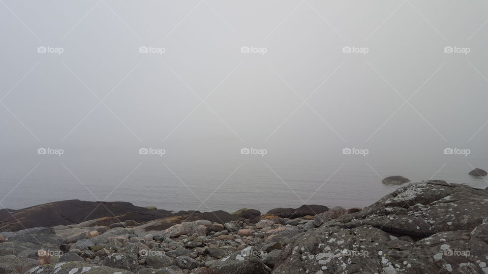 Fog at sea - rocks - dimma vid havet - klippor