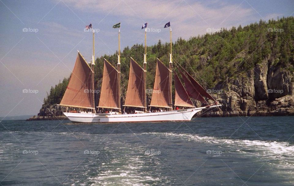 Schooner Margaret Todd 