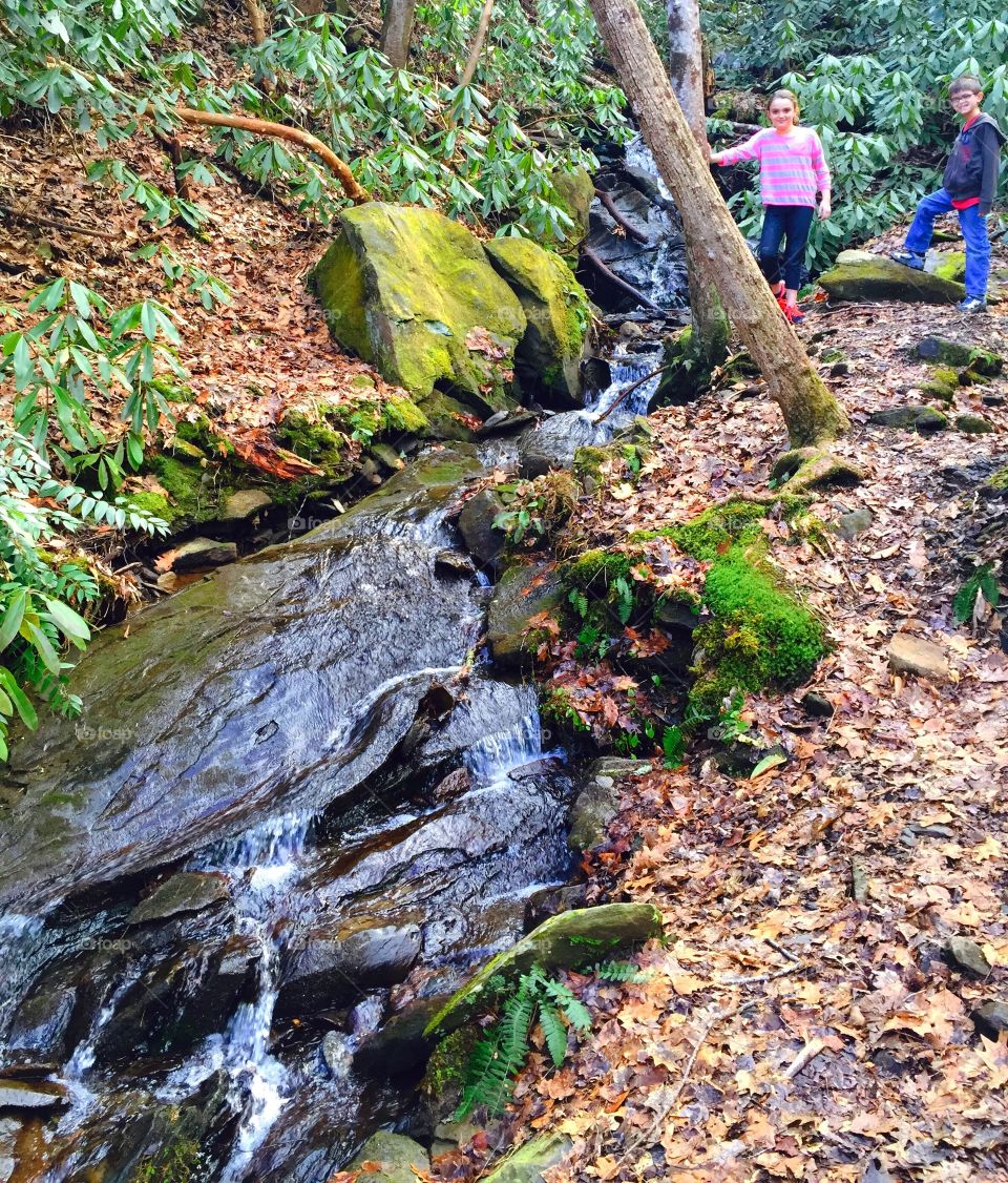 Children hiking near a lovely stream with mossy banks