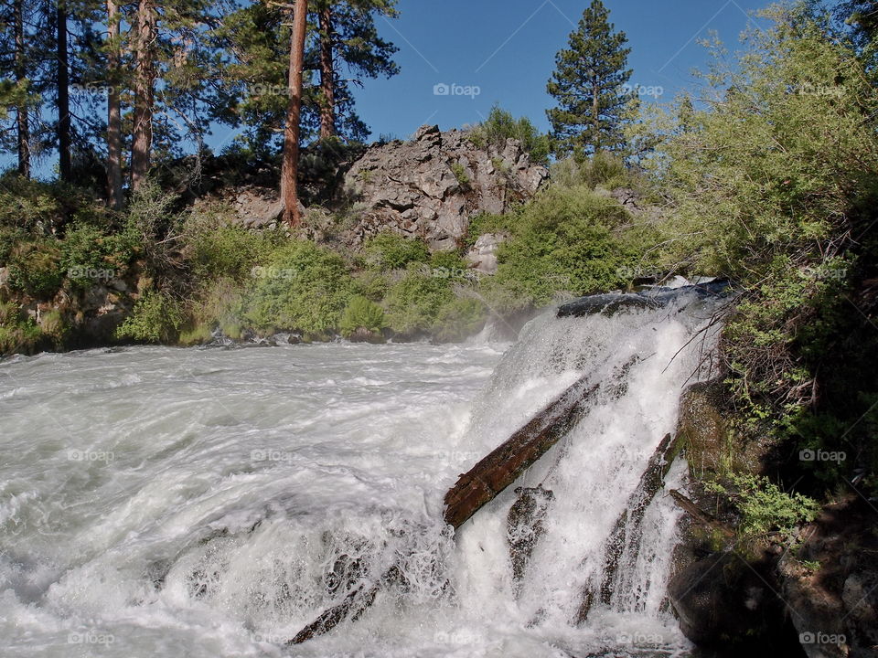 The raging waters of the Deschutes River at Dillon Falls on a sunny summer day 