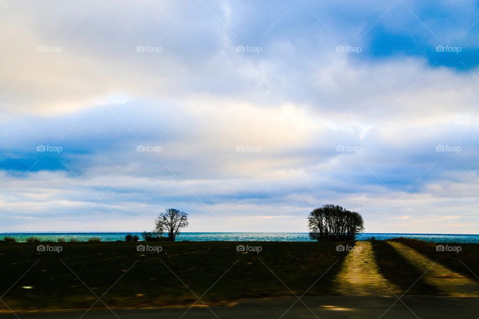 Drivning by the coast of Sweden 